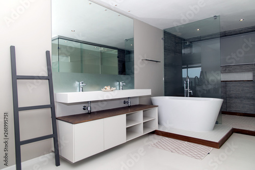 Luxurious Bathroom setup