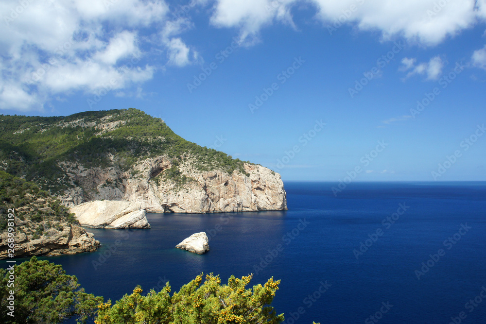 Naklejka premium Landscapes of Ibiza. Portitxol Bay.Cap de Rubio.