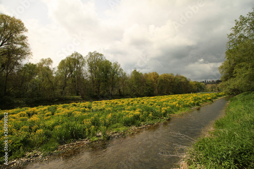 Isar bei Oberhummel in Oberbayern