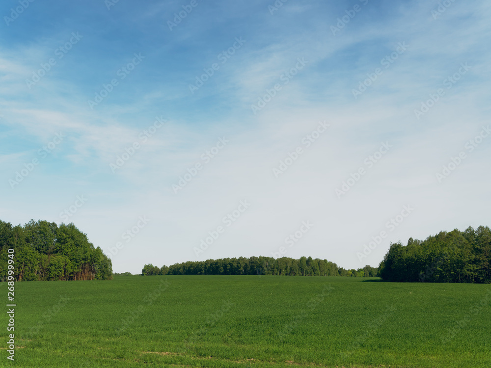 green meadow field on blue sky background green meadow field on blue sky background