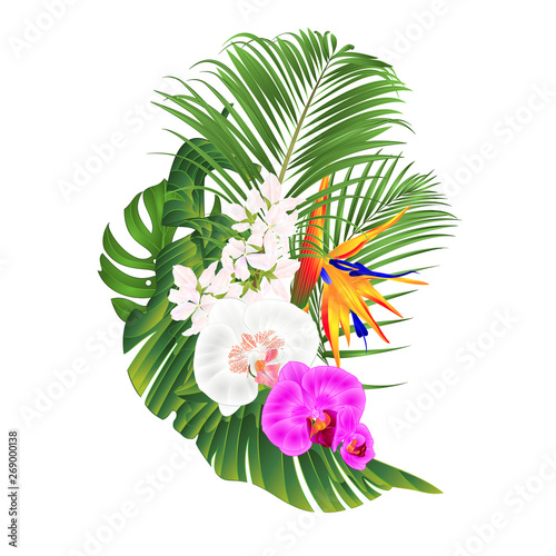 Tropical flowers bouquet with    Strelitzia reginae white and purple  orchid Phalaenopsis palm monstera leaf banana  vintage vector illustration edizable hand draw  photo