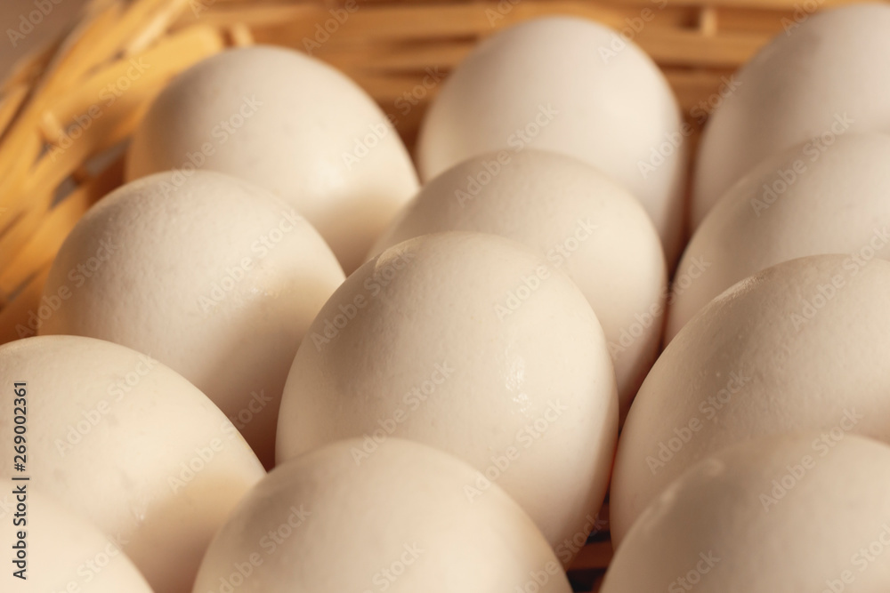 Fresh white chicken eggs freshly picked Fresh white chicken eggs freshly picked