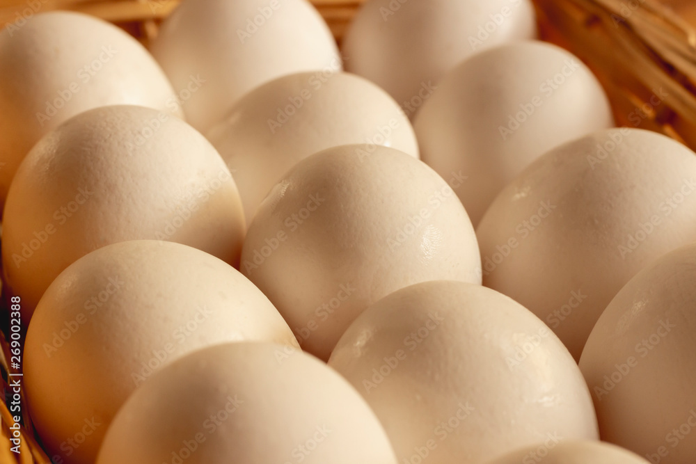 Fresh white chicken eggs freshly picked Fresh white chicken eggs freshly picked