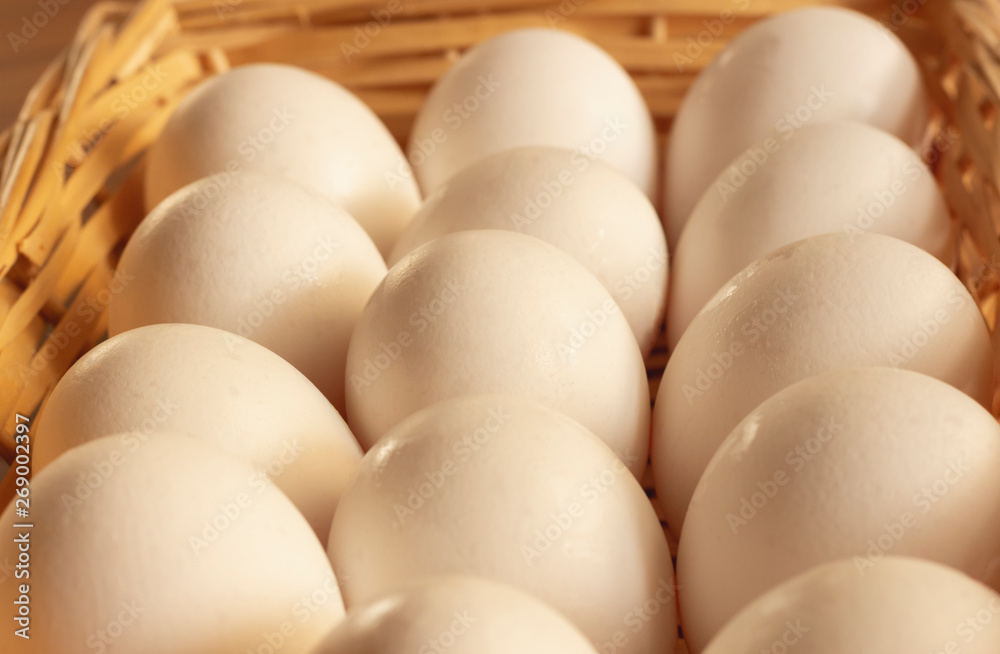Fresh white chicken eggs freshly picked Fresh white chicken eggs freshly picked