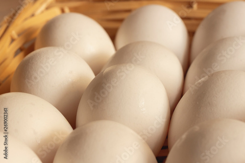 Fresh white chicken eggs freshly picked