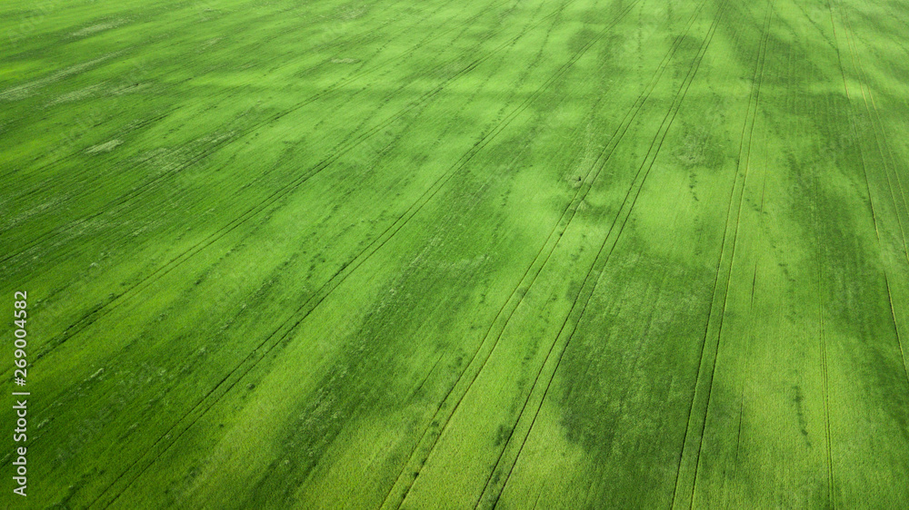 aerial view of grass field. natural green spring summer background. drone shot. Farmland from above aerial view of grass field. natural green spring summer background. drone shot. Farmland from above