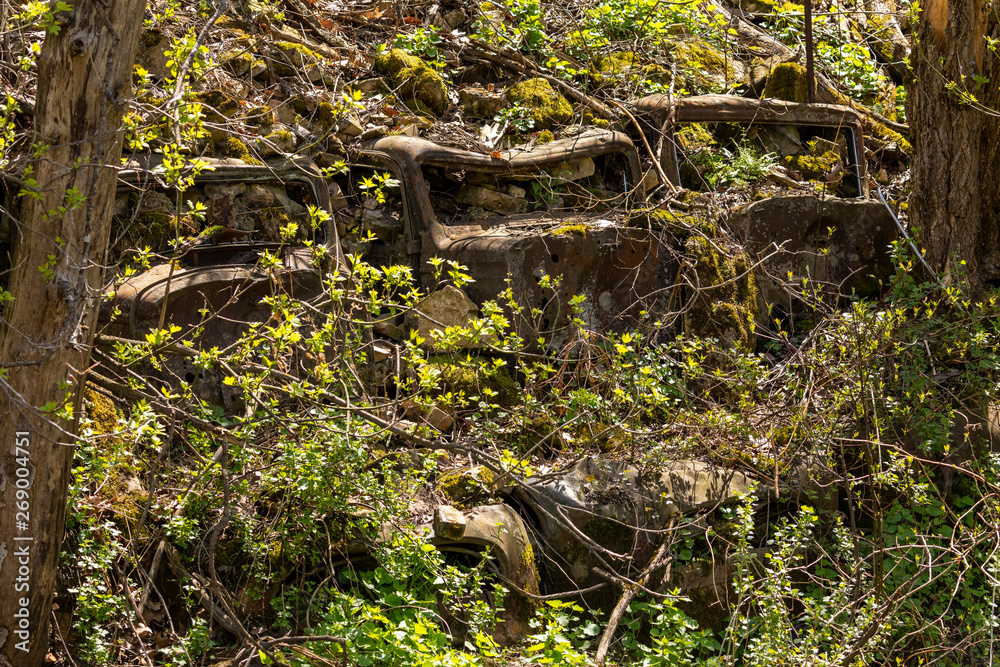 Old cars buried in the side of a hill for erosion control.