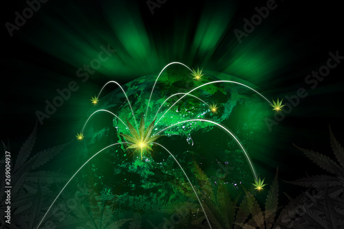 connection of cannabis