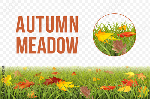 Vector realistic fall pattern with grass and leaves
