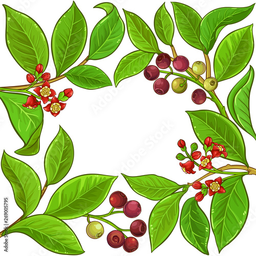 sandalwood vector frame