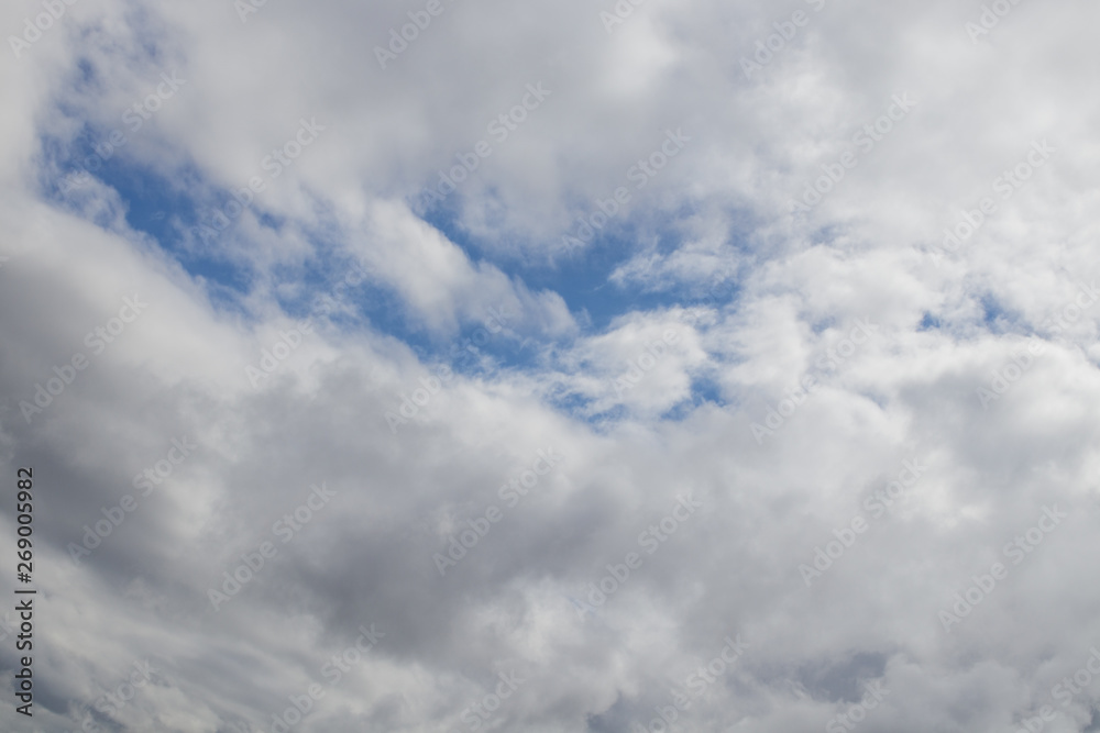 Obraz premium Cloudy landscape. Sky. In white, gray, blue tones.