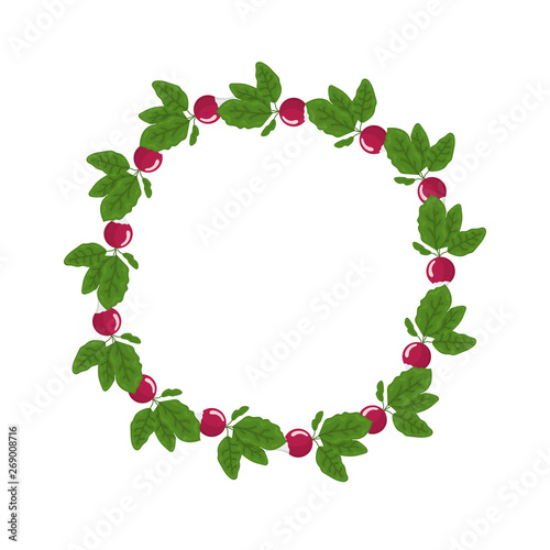 Radish wreath. Fresh vegetables. Organic food. Vector illustration on white background.