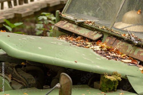Autowrack am Waldrand