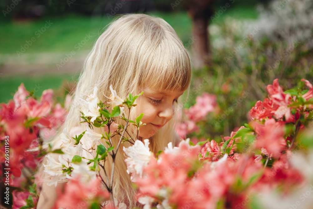 Little girl looking at pink azalea flowers bush, beautiful child on nature in summer Little girl looking at pink azalea flowers bush, beautiful child on nature in summer