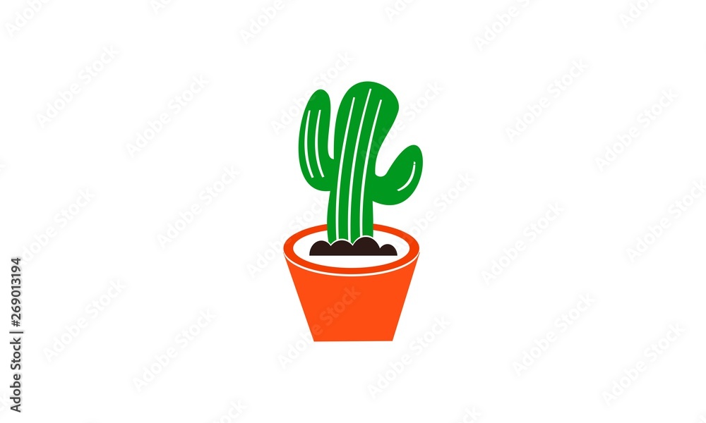 green cactus in pot green cactus in pot