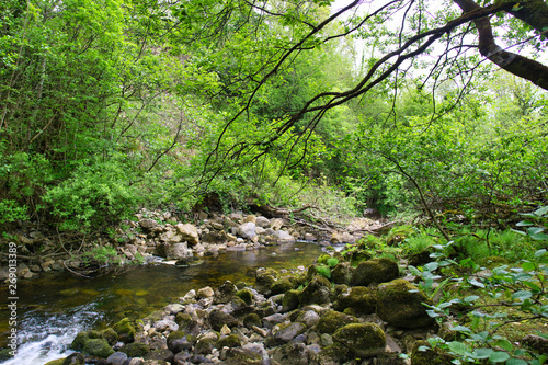 MARBLE ARCH NATIONAL NATURE RESERVE ,CLADAGH GLEN,IRELAND