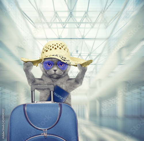 Cute cat waits at the airport with blue suitcase and passport. 3d render