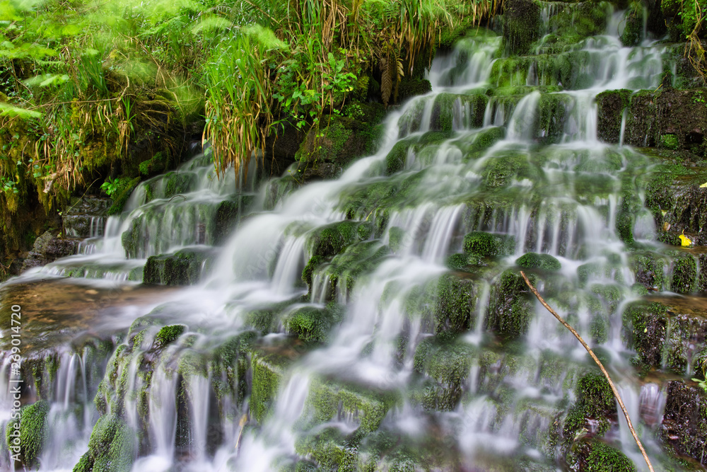 Obraz premium MARBLE ARCH NATIONAL NATURE RESERVE ,CLADAGH GLEN,IRELAND