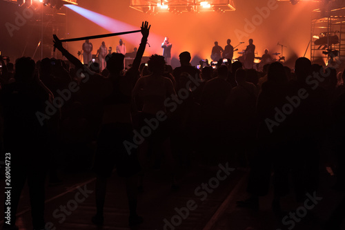 people at a concert with their hands in the air dancing and singing  © Giovanni Nitti