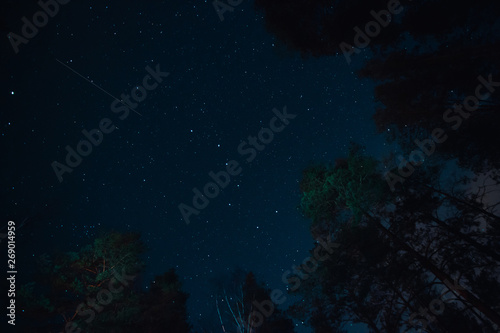 Flying meteorite in Asterism Big Eovsh in the constellation Ursa Major on dark sky at the forest silhouette