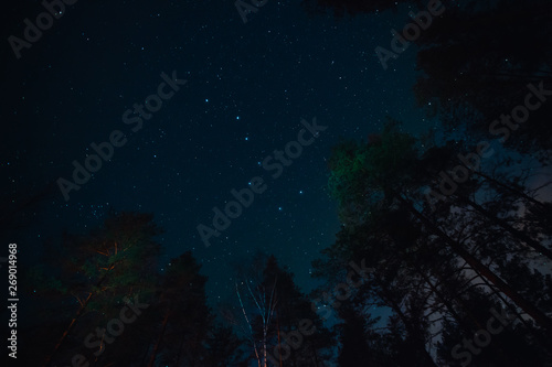 Asterism Big Eovsh in the constellation Ursa Major on dark sky at the forest silhouette