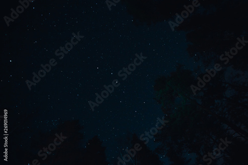 Asterism Big Eovsh in the constellation Ursa Major on dark sky at the forest silhouette © Evgesha