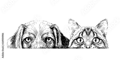 Wall sticker. Graphic, artistic, sketch drawing of a cat and a dog looking at a table on a white background.