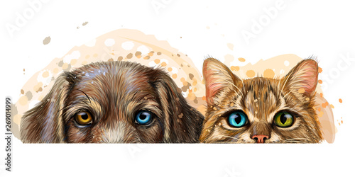 Wall sticker. Graphic, artistic, color drawing of a cat and a dog looking at a table on a white background with splashes of watercolor.