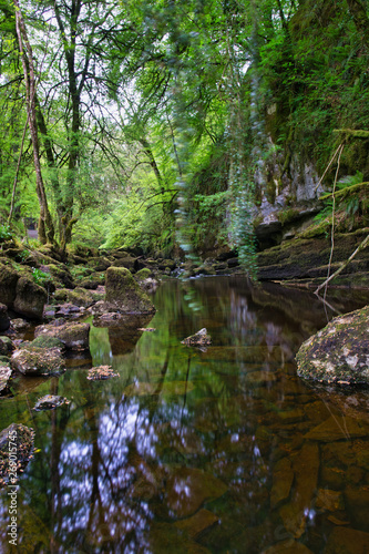 MARBLE ARCH NATIONAL NATURE RESERVE ,CLADAGH GLEN,IRELAND