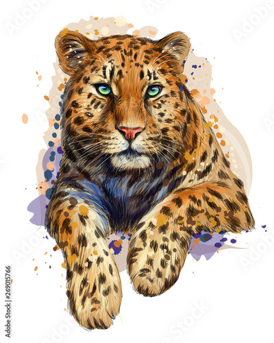 Color, graphic, artistic portrait of a leopard in a picturesque style on a white background with splashes of watercolor.