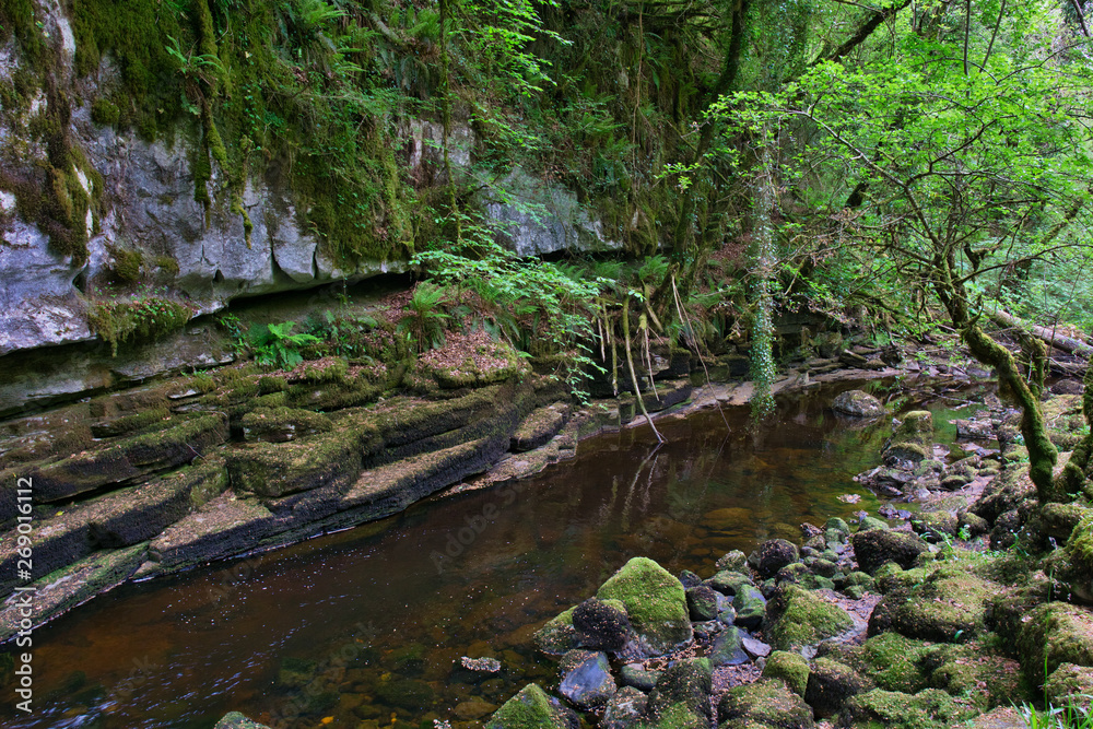 MARBLE ARCH NATIONAL NATURE RESERVE ,CLADAGH GLEN,IRELAND