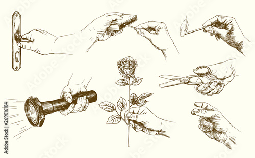 Set of hands in different poses.