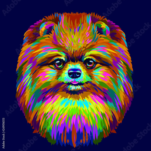 Abstract, neon color, artistic portrait of a cute Pomeranian / small German spitz dog with colored fur on a dark purple background.