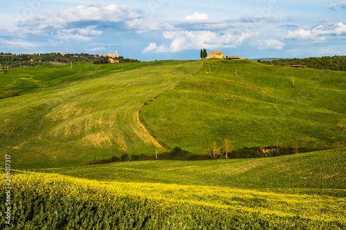 Fototapeta Naklejka Na Ścianę i Meble -  Tuscany spring, rolling hills and windmill on sunset. Rural landscape. Green fields. Italy, Europe