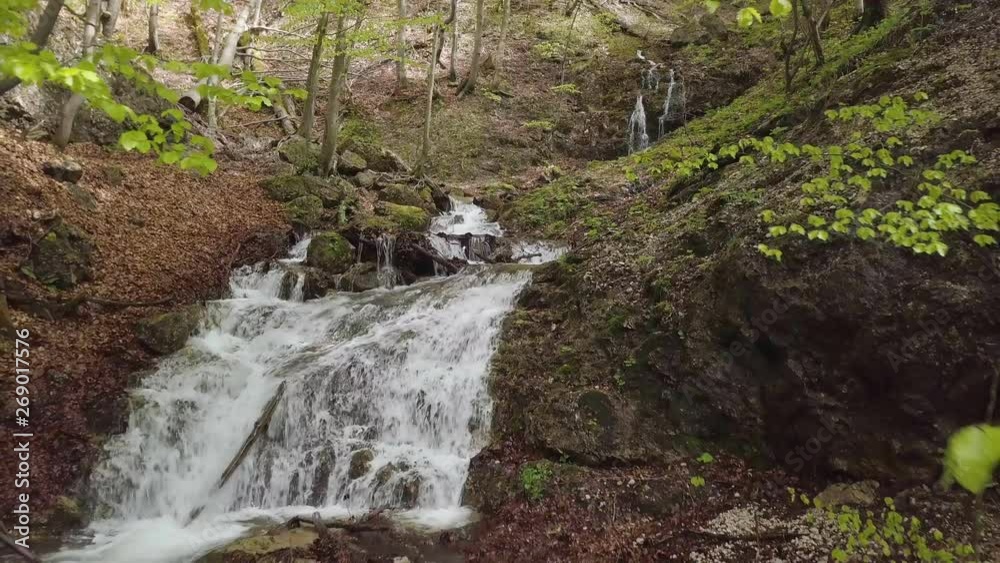 Moving backward over clear water of mountain stream flow in sunny spring forest Moving backward over clear water of mountain stream flow in sunny spring forest