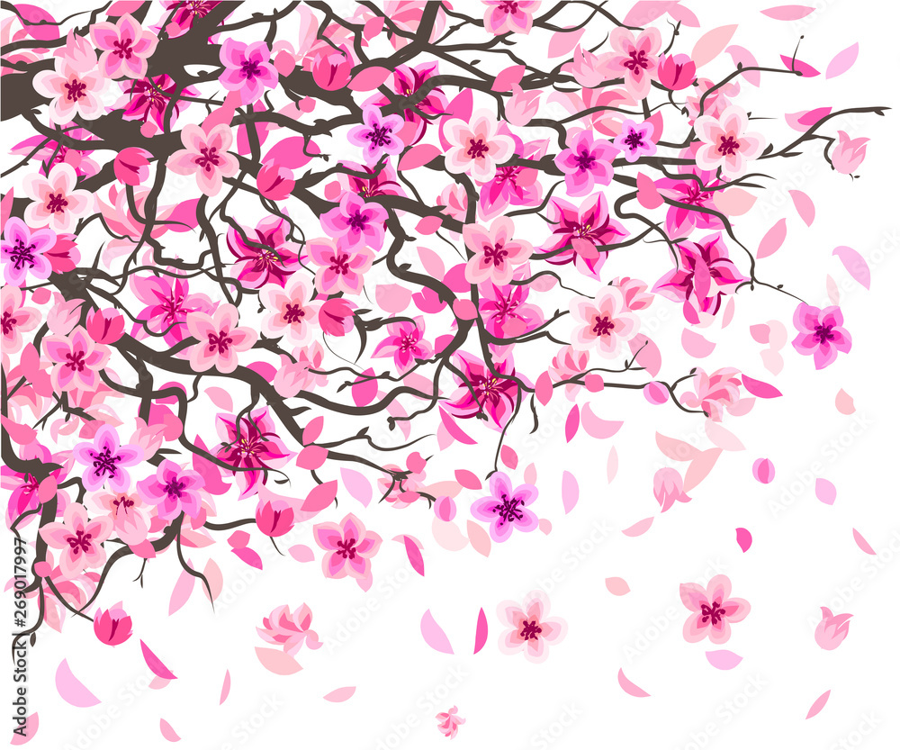 Wall sticker. Graphic colored drawing of branches and pink flowers of the blossoming Sakura with falling petals on a white background Wall sticker. Graphic colored drawing of branches and pink flowers of the blossoming Sakura with falling petals on a white background