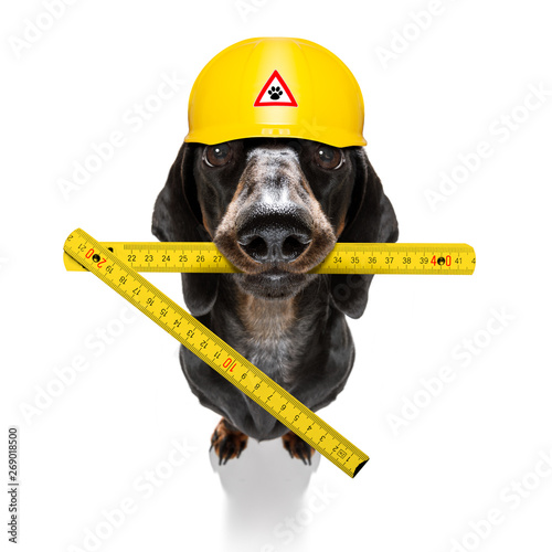 handyman  hammer dog with helmet © Javier brosch