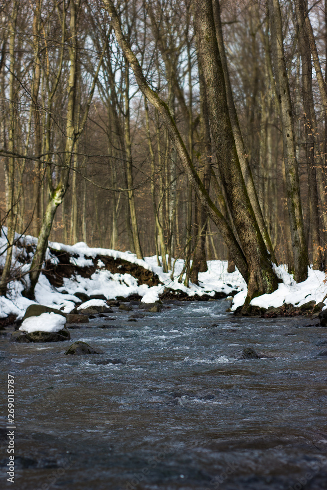 Fototapeta premium Deep lake. Nature. Water. Small river. Winter. Dark forest on background. Blue waves. Beautiful landscape. Blue sky. Cold weather.