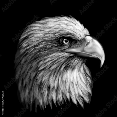 Graphic, monochrome portrait of a  eagle on a black background.