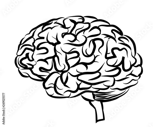 The human brain. Graphic, black and white drawing of a brain side view on a white background.