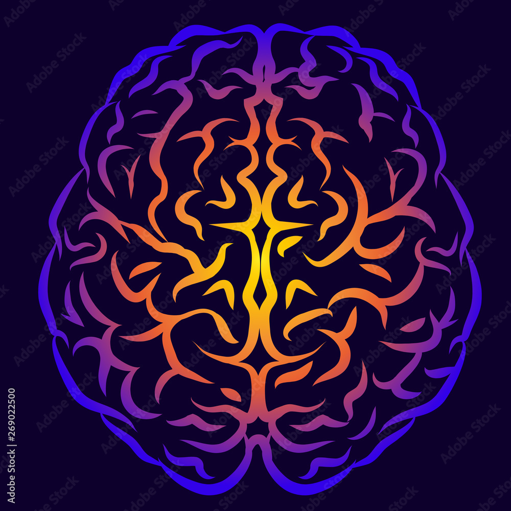 The human brain. Graphic, multi-colored silhouette of the brain view from above on a dark purple background.