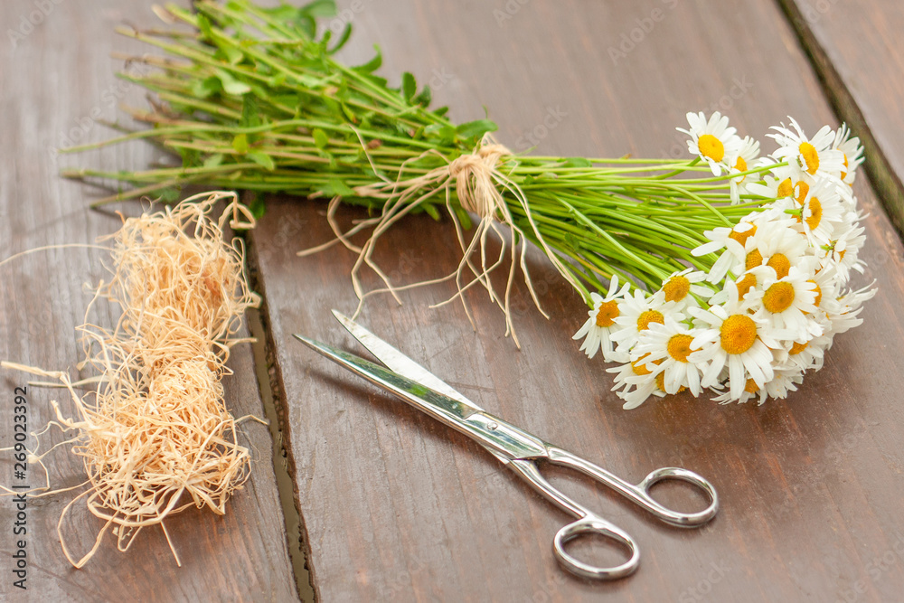 Φωτογραφία A white and yellow bouquet of freshly picked wild daisy flowers from a natural meadow and garden tied with a natural decorative raffia string