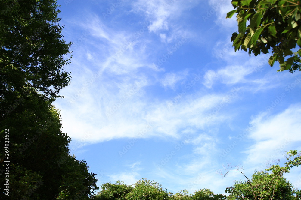 初夏の空 初夏の空