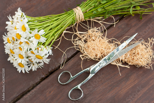 Obraz na plátně A white and yellow bouquet of freshly picked wild daisy flowers from a natural meadow and garden tied with a natural decorative raffia string