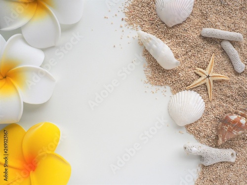 夏のビーチのイメージ（プルメリアの花、砂浜、貝殻、ヒトデ、サンゴ）