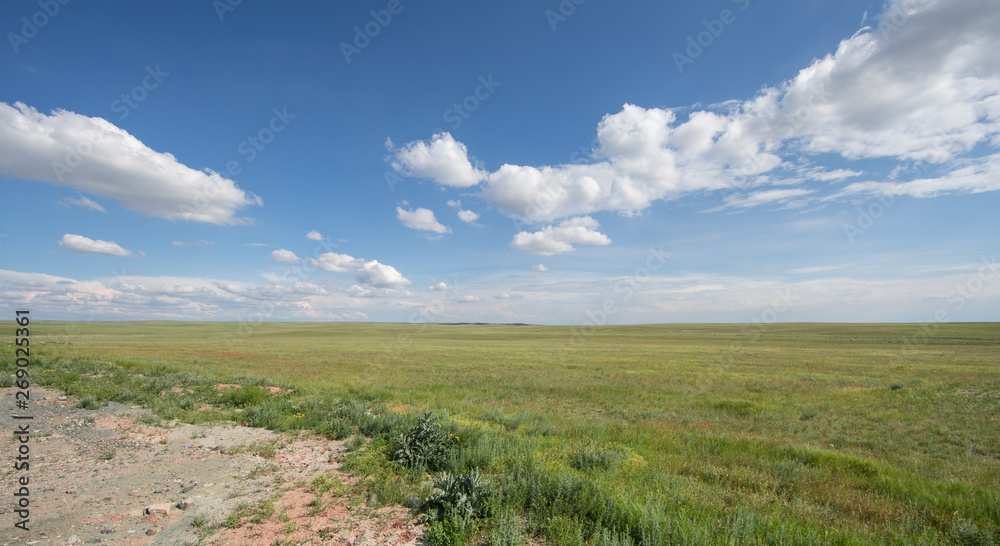 panoramic beautiful summer landscape, green field and blue sky with white clouds
