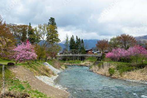 View of the spring Hakuba village ohira Park in Japan. photo