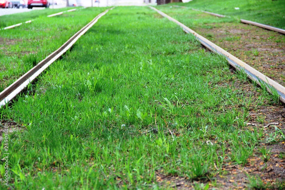 young grass on tram tracks in spring, selective focus young grass on tram tracks in spring, selective focus