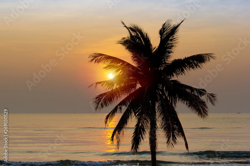 Coconut tree at beach