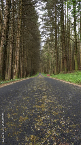 Marble Arch Caves Global Geopark,Ireland,Fermanagh